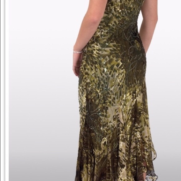 Beautiful dress - Picture 1 of 8